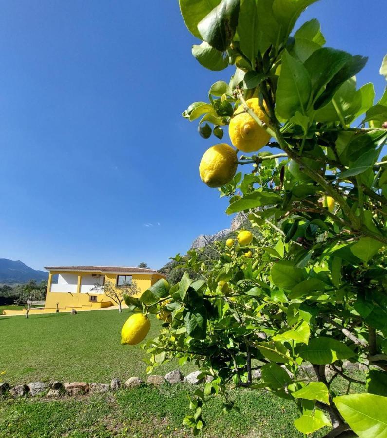 Villa Indipendente con PISCINA USO ESCLUSIVO Siniscola Esterno foto